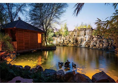 The Tree House Resort, Jaipur